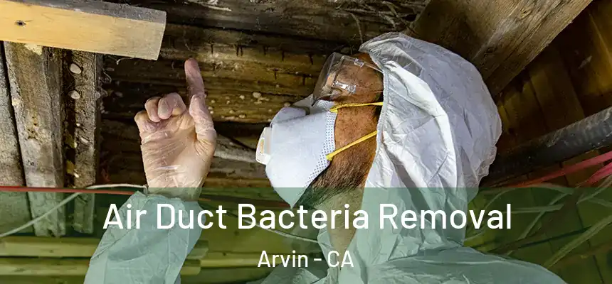 Air Duct Bacteria Removal Arvin - CA