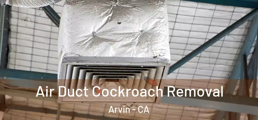  Air Duct Cockroach Removal Arvin - CA