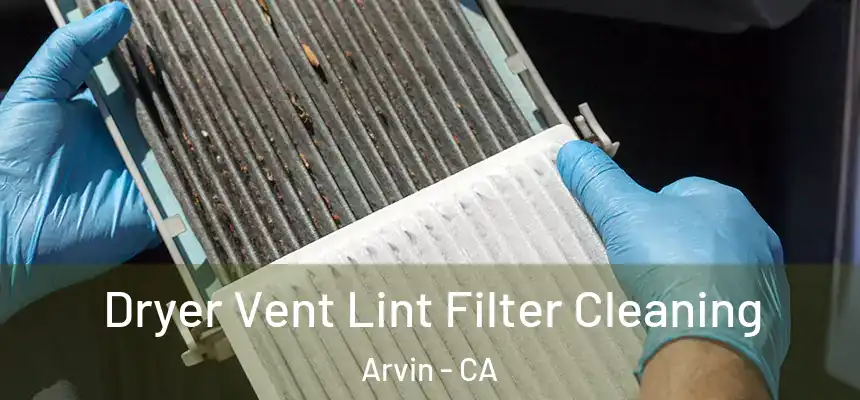  Dryer Vent Lint Filter Cleaning Arvin - CA