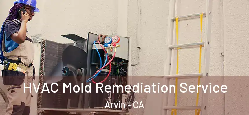 HVAC Mold Remediation Service Arvin - CA