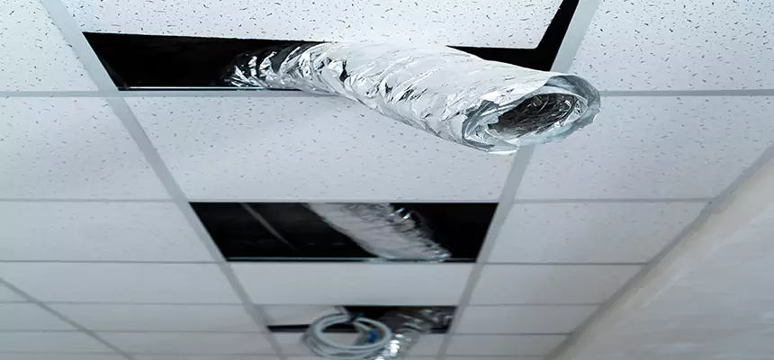 Affordable HVAC Sanitizing After Pest Removal in Arvin