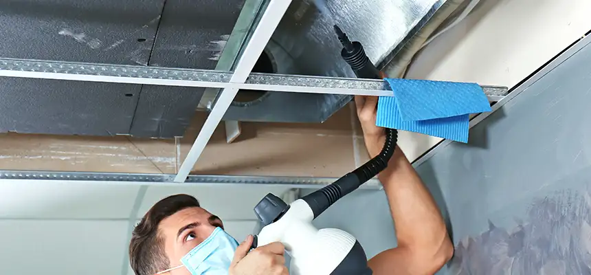 Our Air Duct Rodent Removal Services in Arvin, CA