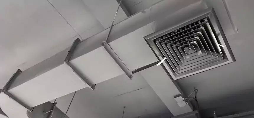 Restorative Allergy Relief Vent Cleaning – Coil, Blower & Housing Detail in Arvin