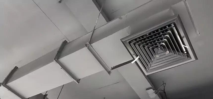 Our Rodent Droppings In Vents Services in Arvin, CA