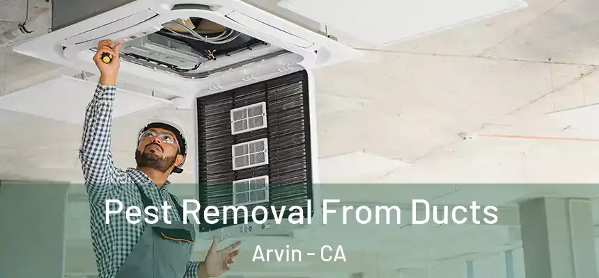  Pest Removal From Ducts Arvin - CA