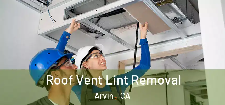  Roof Vent Lint Removal Arvin - CA