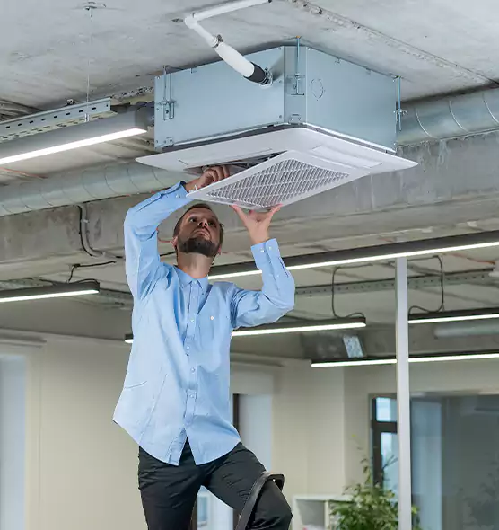 Advanced Rodent Droppings In Vents in Arvin, CA