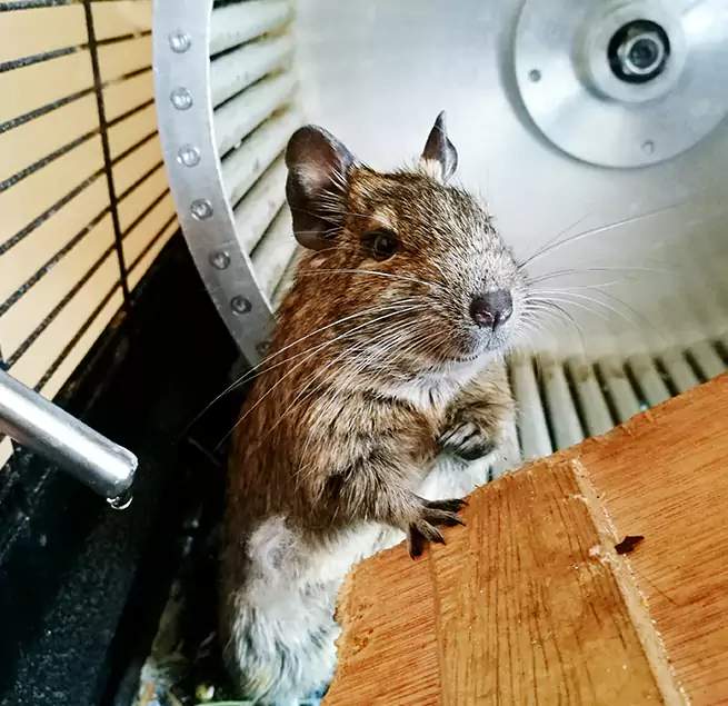 Why Homeowners & Businesses Trust Us Arvin, CA?